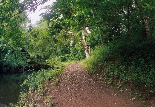 Big South Fork country